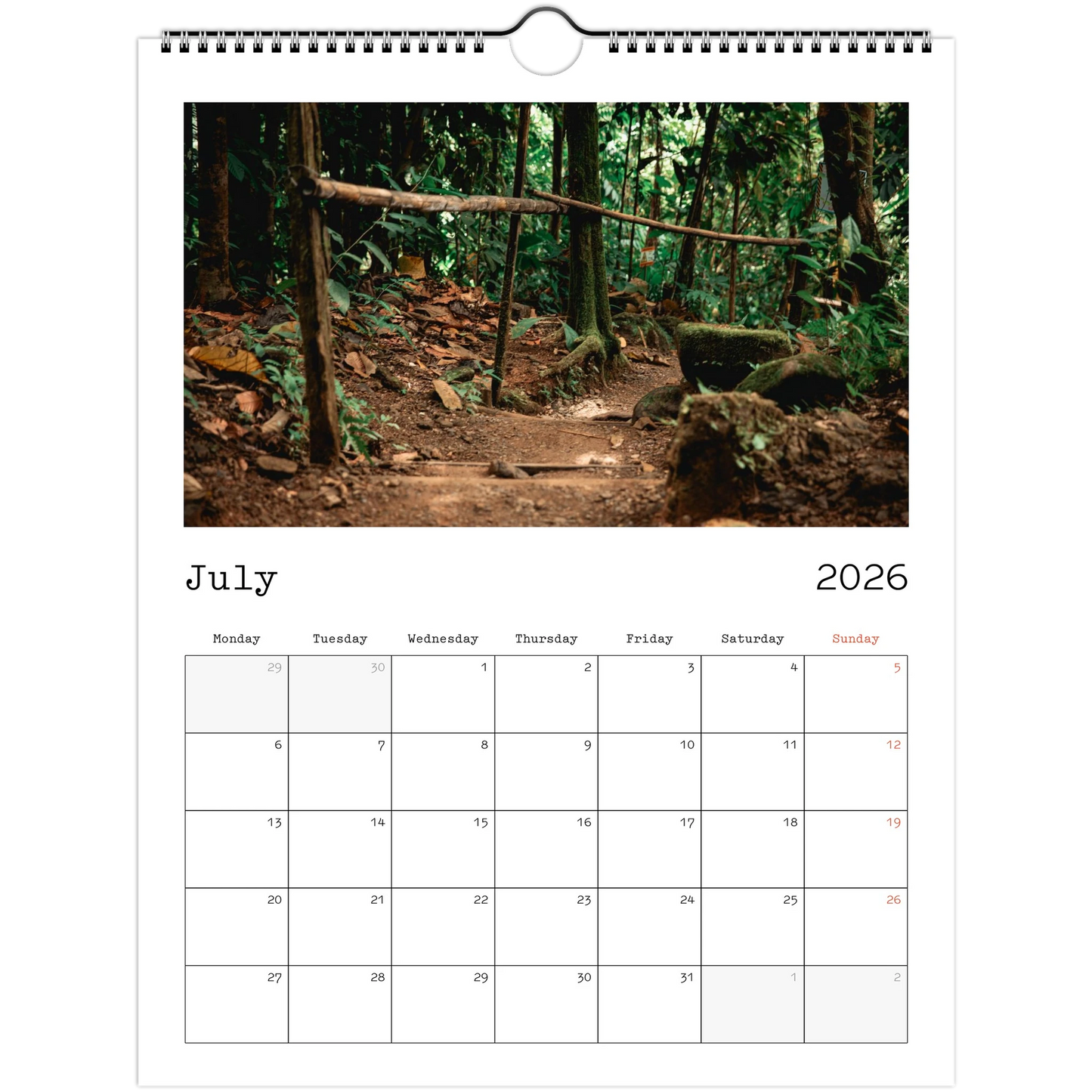 147d19cc-ba03-4904-9361-62bcdbc19186