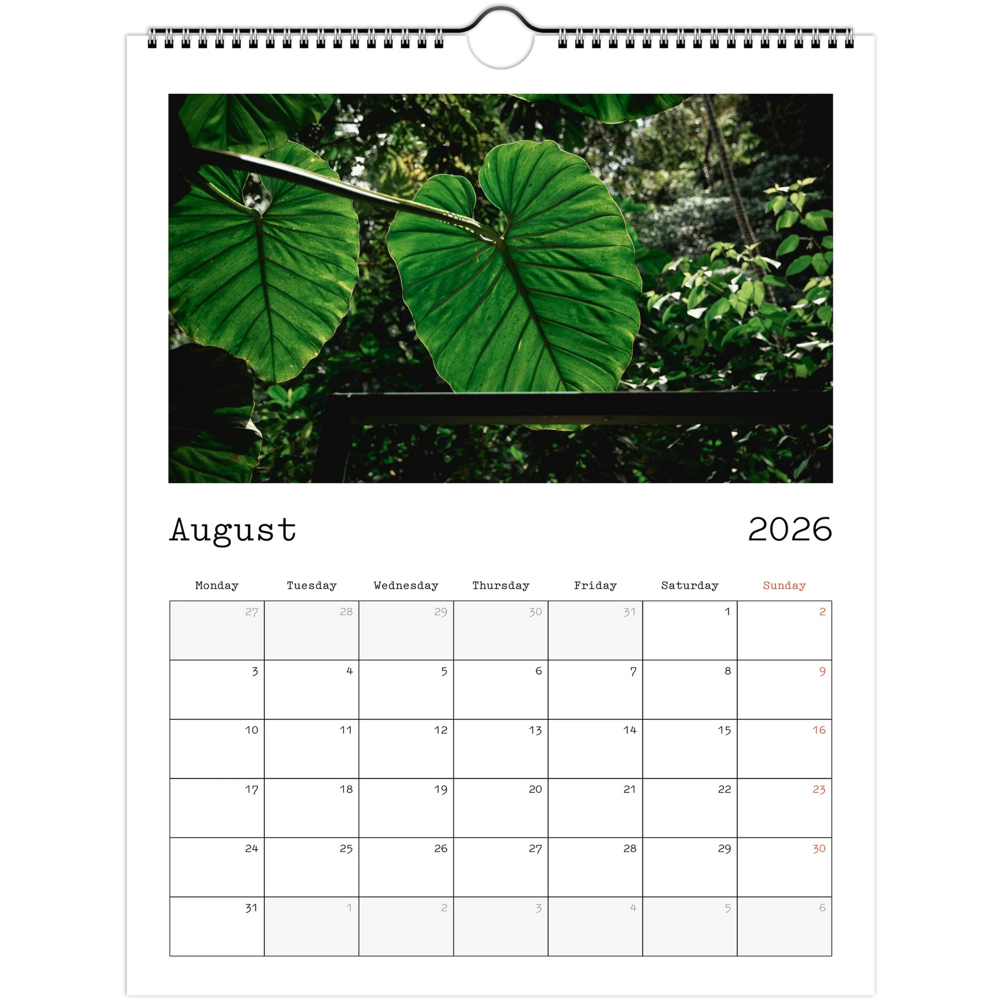 1e404a0c-7e0c-49ea-8b5d-c04e3e3e2595