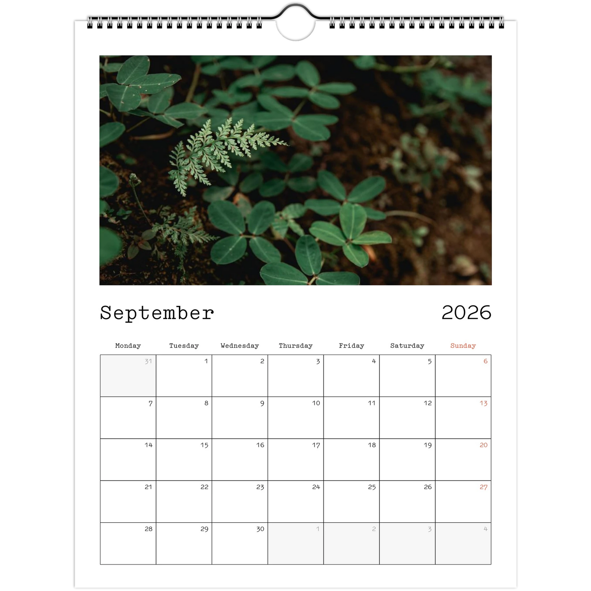 269fa360-f089-492b-b588-319324b35892