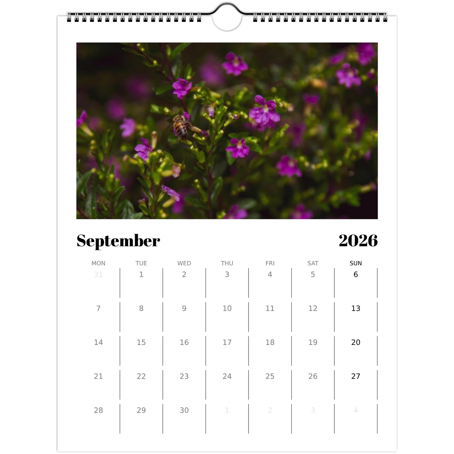 282acb10-ca20-404d-a5c2-2ee423806b15