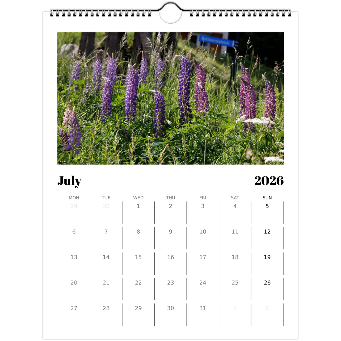 2de3252c-1440-4714-bd23-7ba472452d38