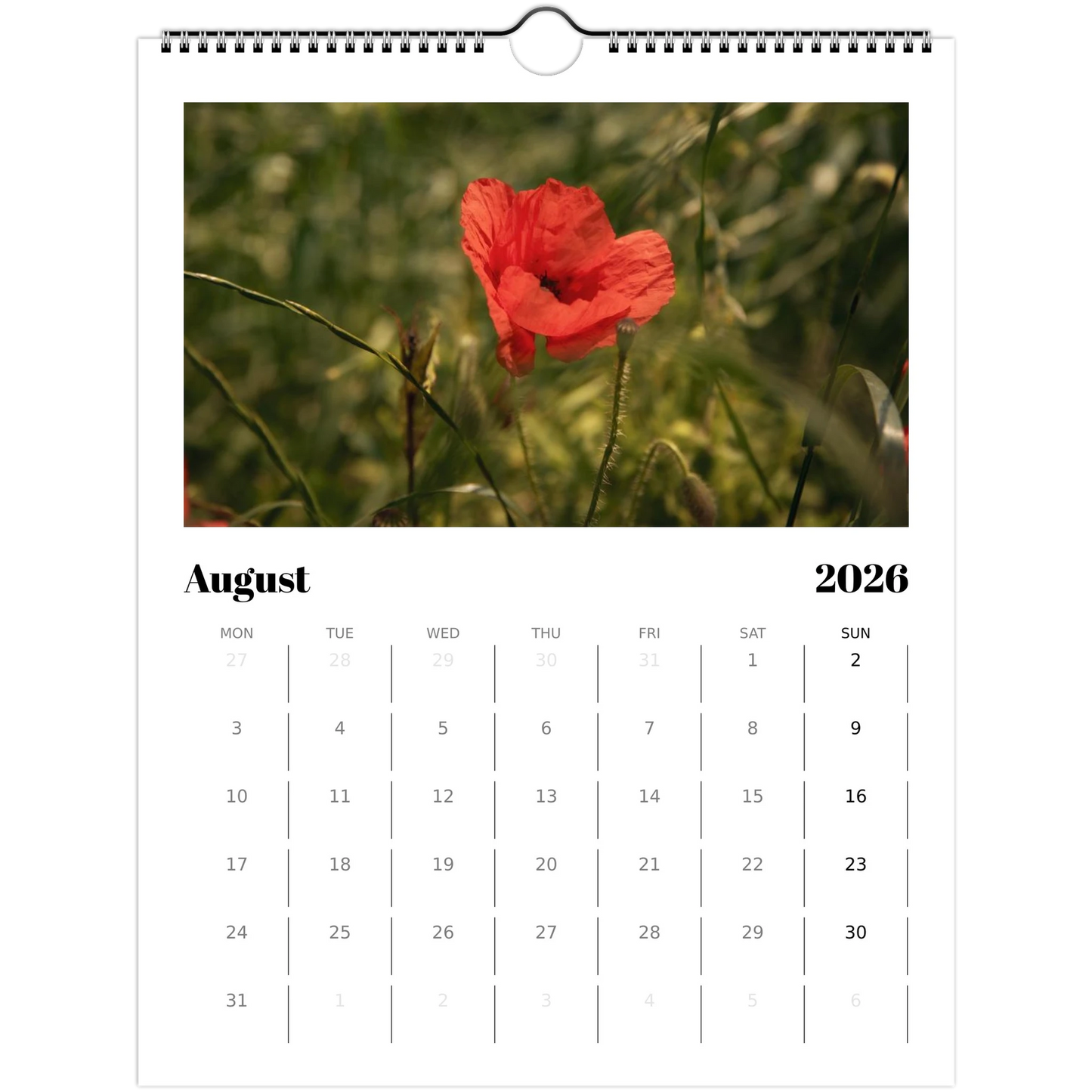 7cef9cad-4a29-45a8-aade-d8cb9dce44c8