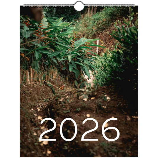 9d992f2d-96a2-4523-9d3a-574326741512