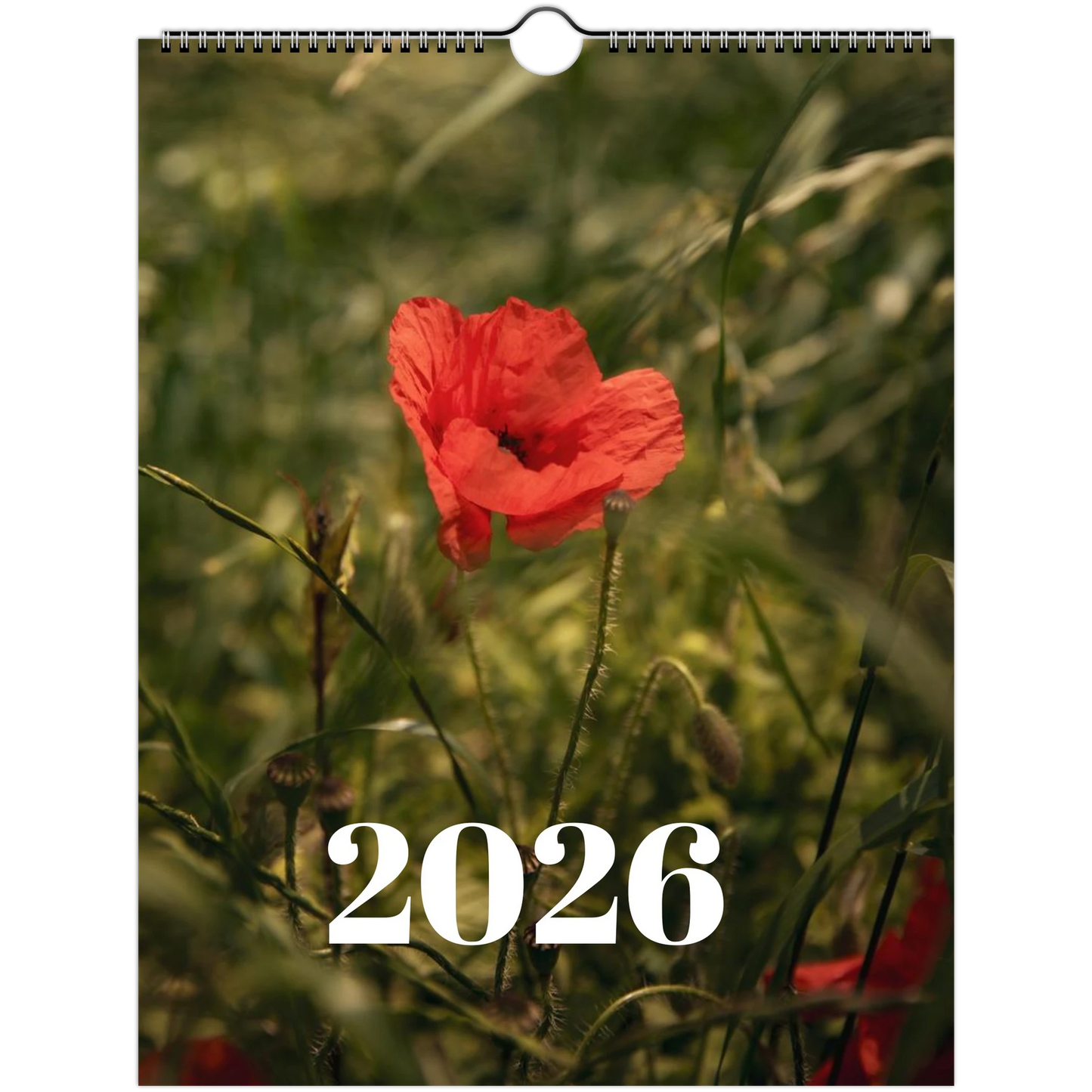 9db7b09a-210d-4430-a850-227a14f982ad