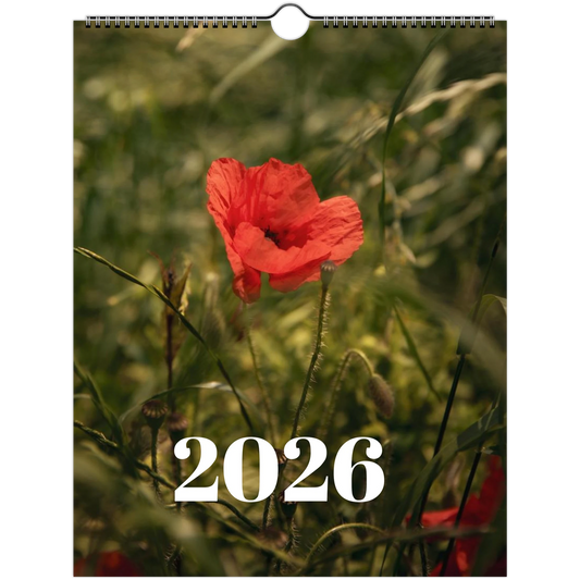 9db7b09a-210d-4430-a850-227a14f982ad