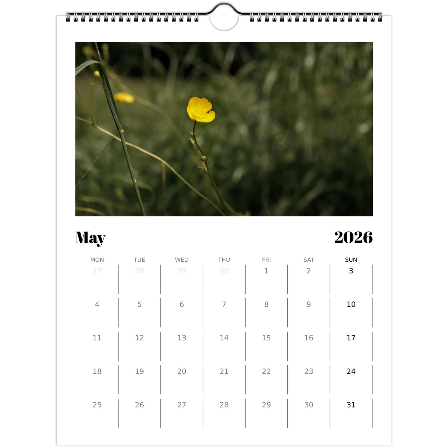 ca129fd6-9ea6-40a5-9135-b555684ab3d9