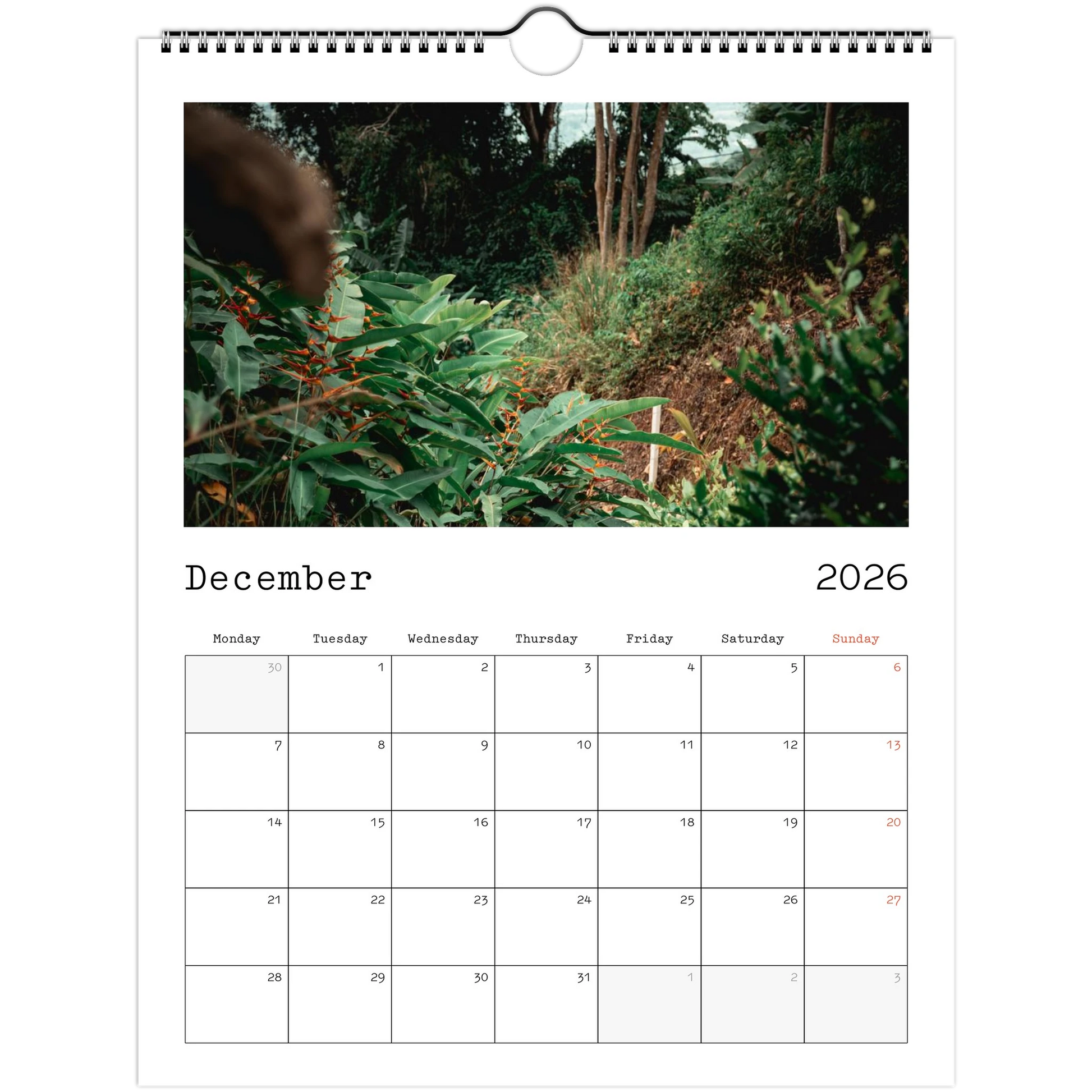 d1e33128-a708-4f33-a46a-16bf75f107a4