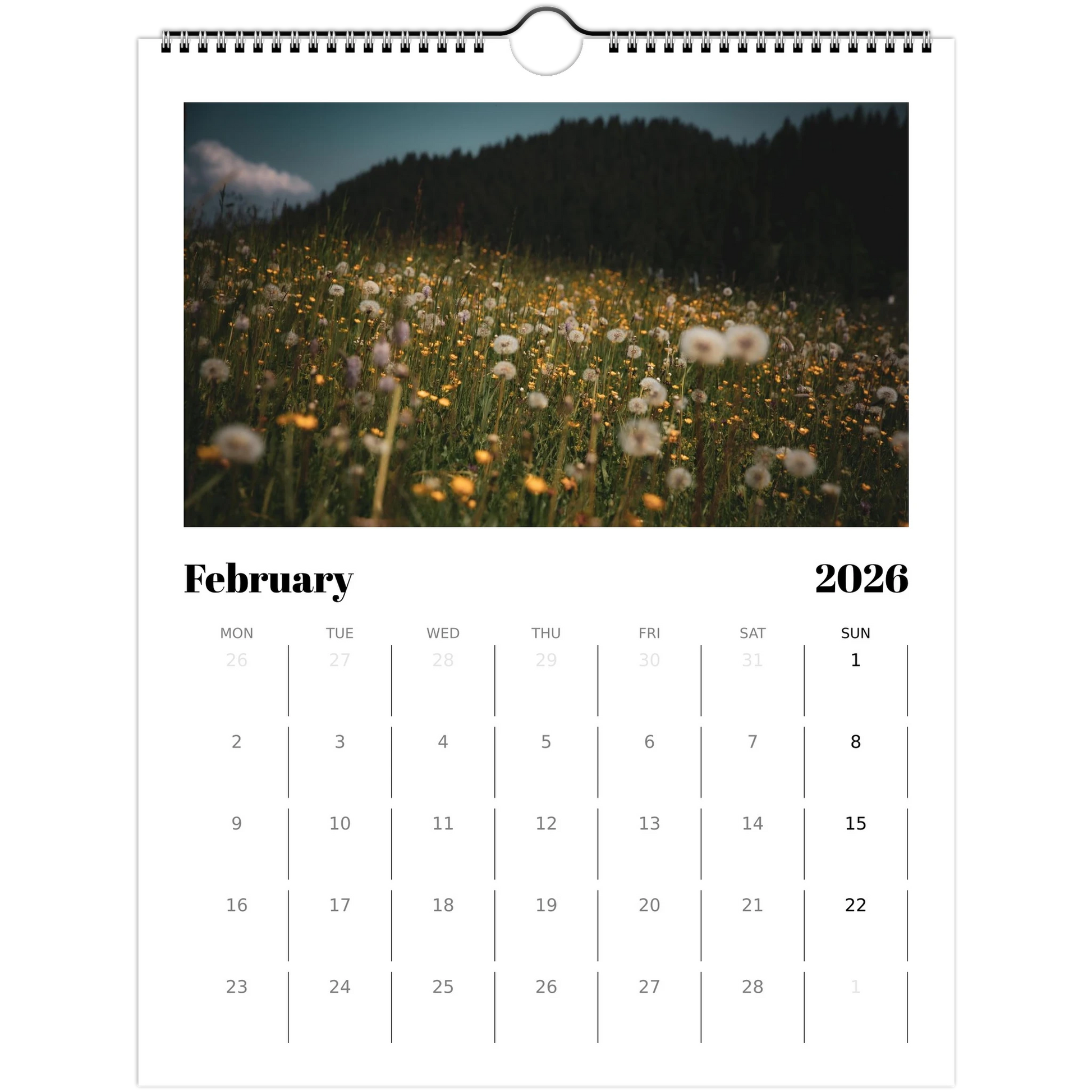 d42a0276-a54b-4bfb-a837-8b690b95066d