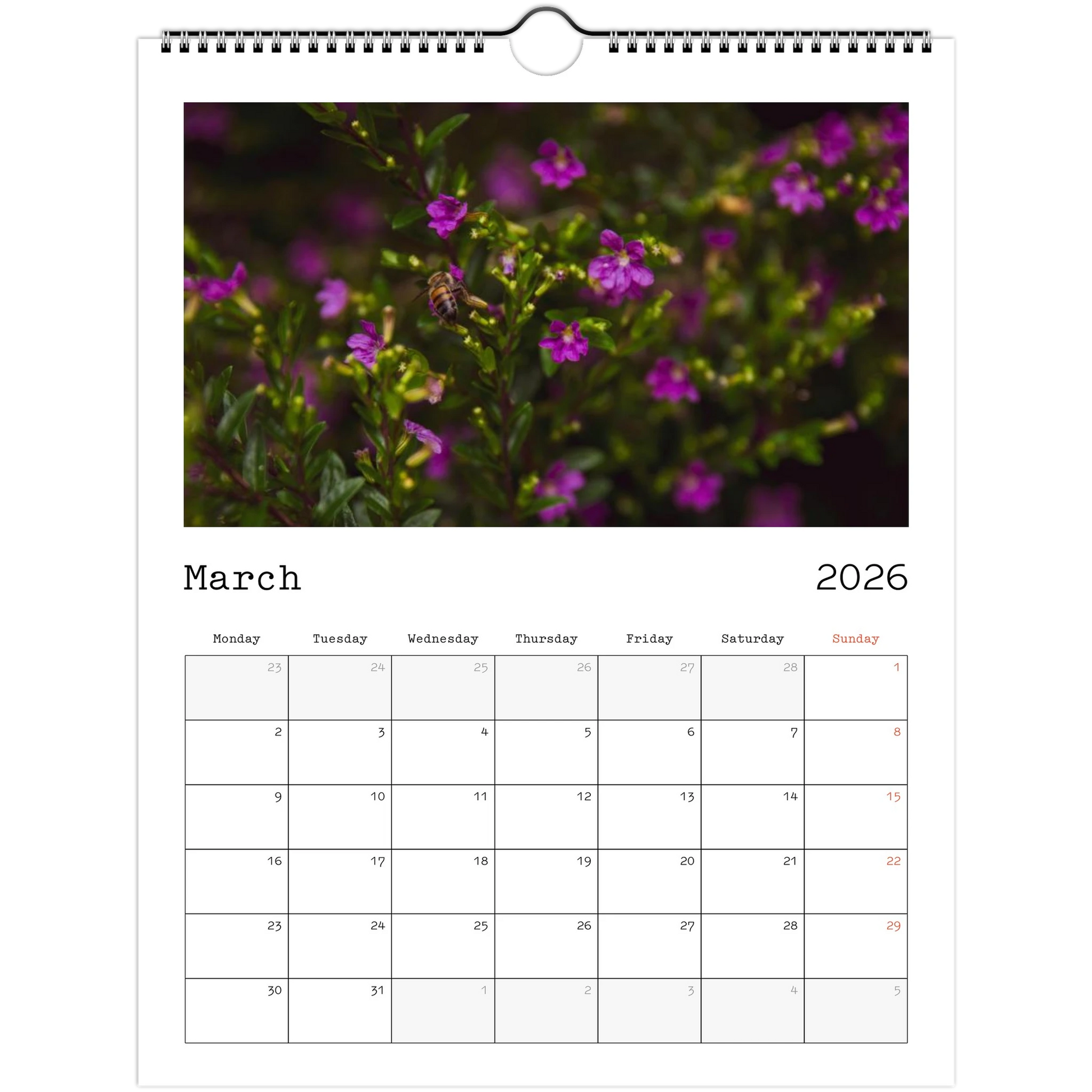 d504b79d-512f-450c-be59-4572928573e0