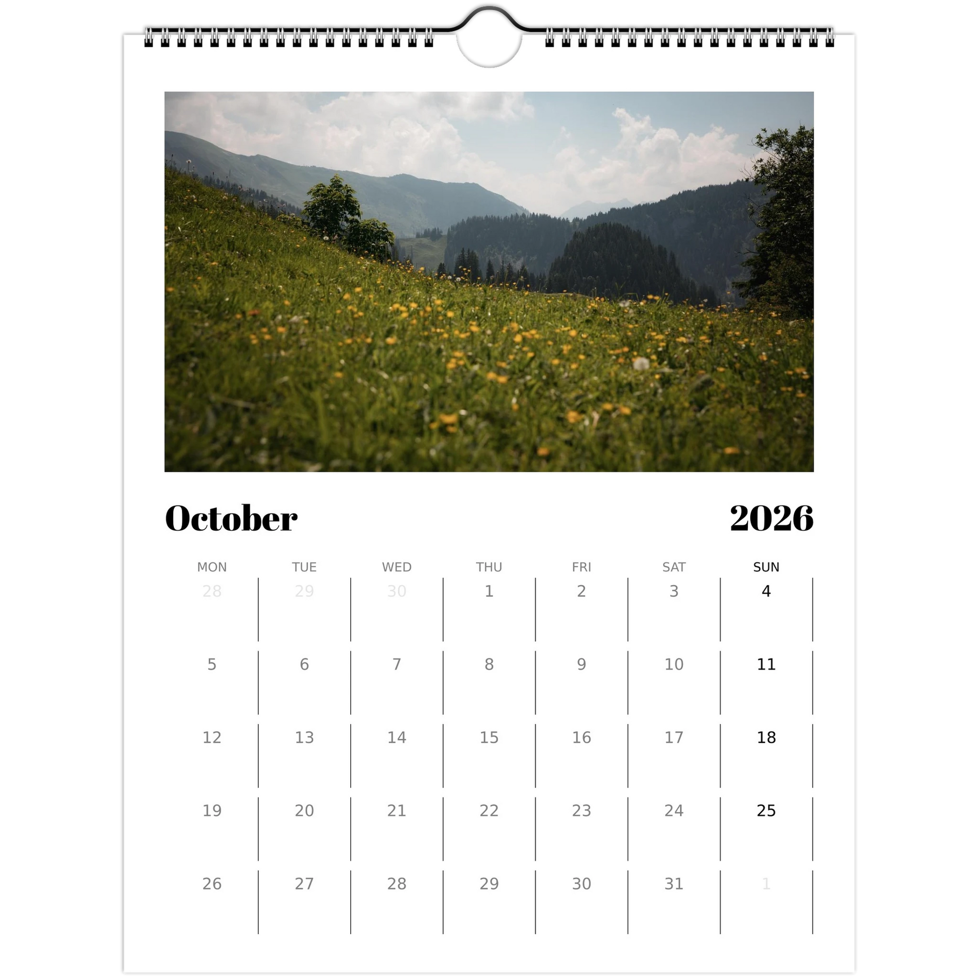 e135cb73-69b3-42c6-ada6-f5e75328f43e