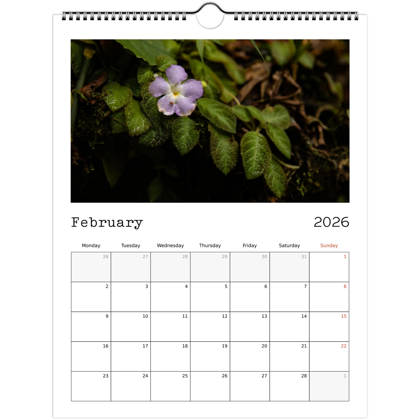 fd0acfd5-1f46-4daa-9625-a260cfeb6f37